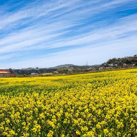 Dejablue. Villa Rural Junto Al Mar Y La Montana Santa Maria de Guia de Gran Canaria Екстер'єр фото